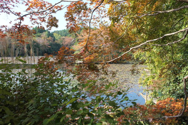 istock Vibrant autumn colours 2185811310