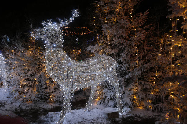 istock christmas pictures with lights presents 2185812051