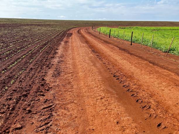 istock comparative on high tecnology of both agriculture and livestock systems. similar technological levels 2185819095