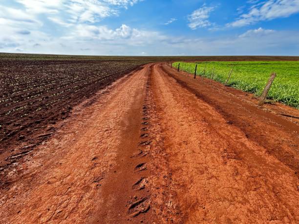 istock comparative on high tecnology of both agriculture and livestock systems. similar technological levels 2185819103