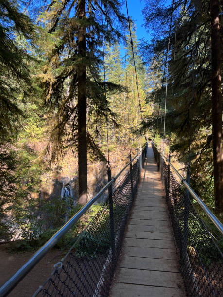 istock Drift Creek Suspension bridge 2185821646