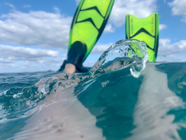 Swimming in the open ocean of Florida on a snorkeling exhibition.