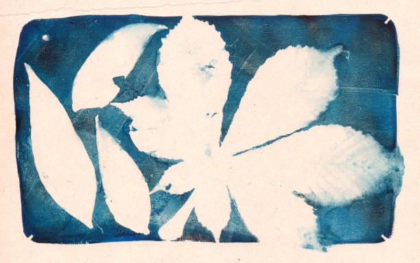 istock imprints of real leaves on paper, creative abstract grunge background 2185824706