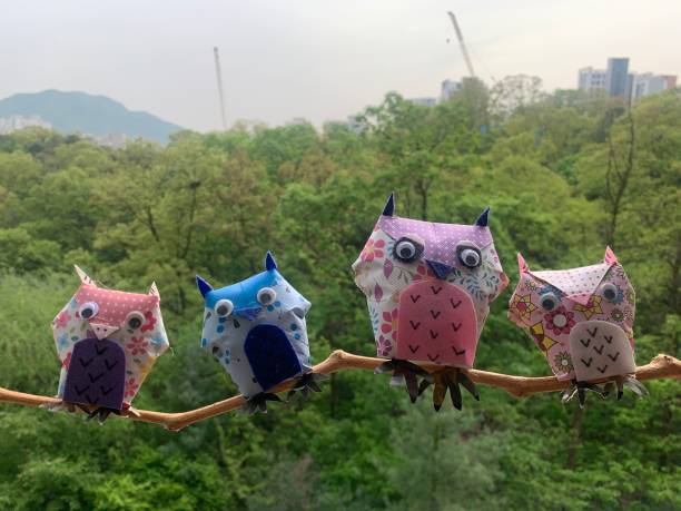 Craft owl family
