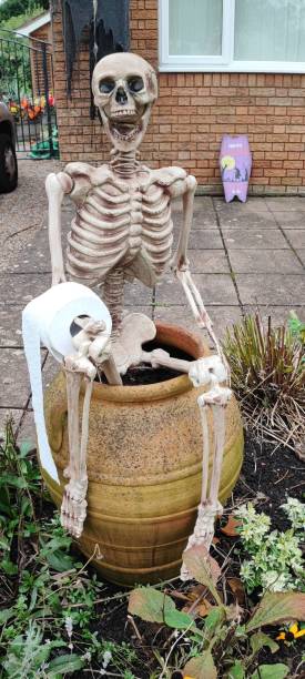 istock A skeleton on a flowerpot, using it as a toilet, using toilet paper. Halloween decorations. 2185833070