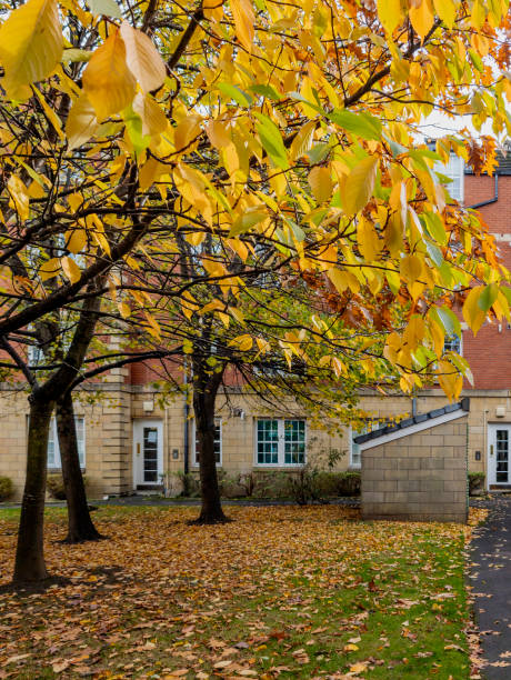 istock Edinburgh, Scotland, United Kingdom 2185833723