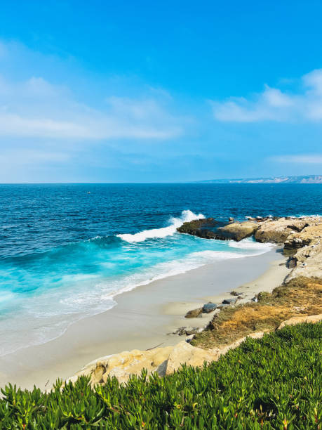 Seashore, overlooking the beach in La Jolla, California. Azure waves and cliffs and greenery