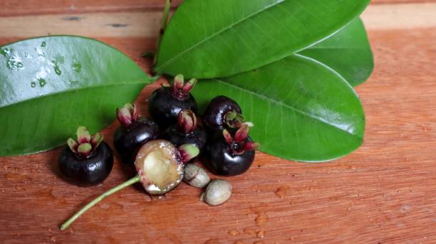 istock Grumixama, Brazilian fruit from the Atlantic forest 2185844613
