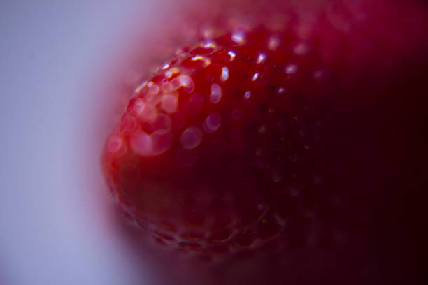 red currants on ripes close