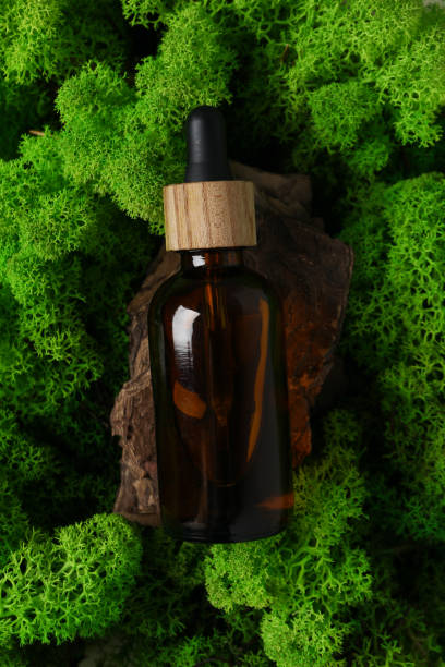 istock Bottle with serum on moss, top view 2185845842