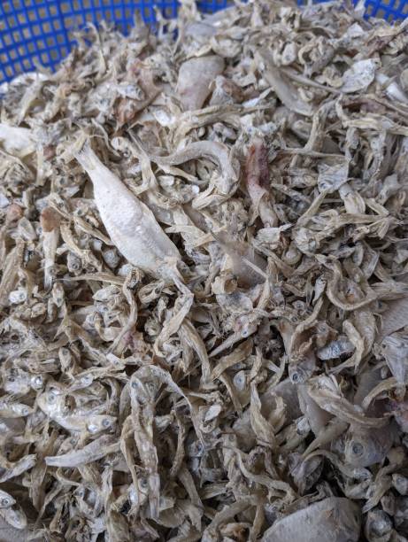 istock dried Salted fish in traditional market 2185846272