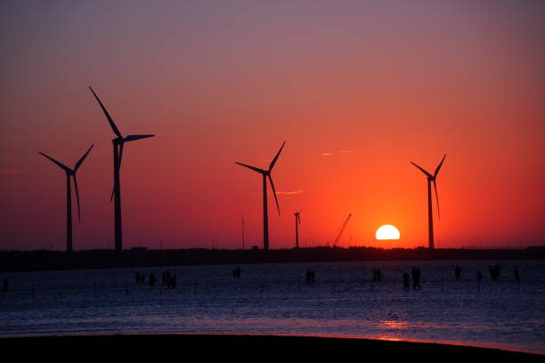 istock Gaomei Wetlands, Taiwan 2185847238