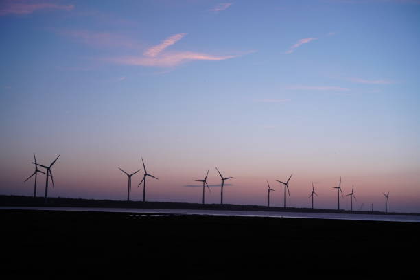istock Gaomei Wetlands, Taiwan 2185847241