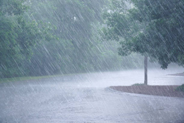 istock heavy rain and tree in the parking lot 2185847751