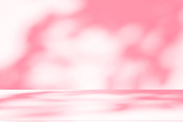 istock Wall interior background, studio, and backdrops show products. with shadow from window color white and pink light. background for text insertion and presentation of product 2185852031