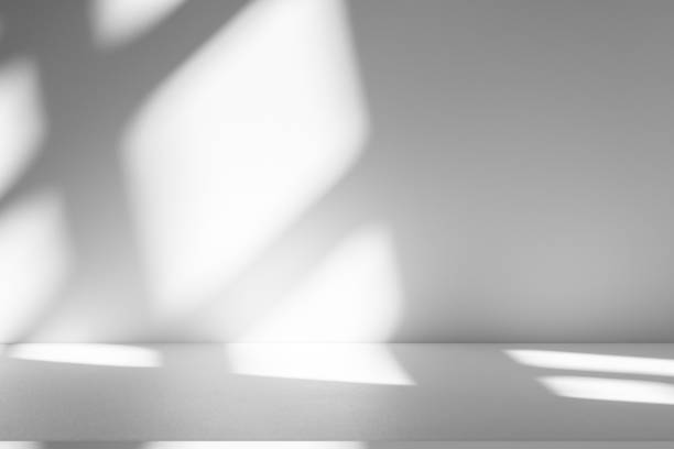 istock Wall interior background, studio and backdrops show products.with shadow from window color white . background for text insertion and presentation product 2185852032