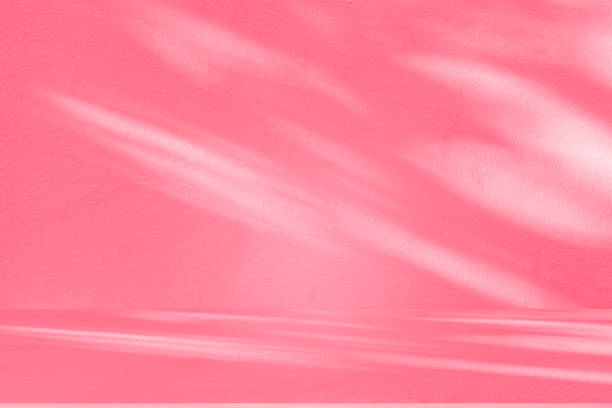 istock Wall interior background, studio, and backdrops show products. with shadow from window color white and pink light. background for text insertion and presentation of product 2185852119