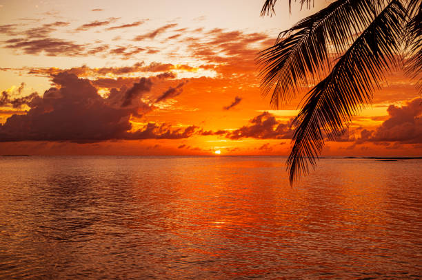 istock Twilight background of sunset over the tropical ocean 2185853109