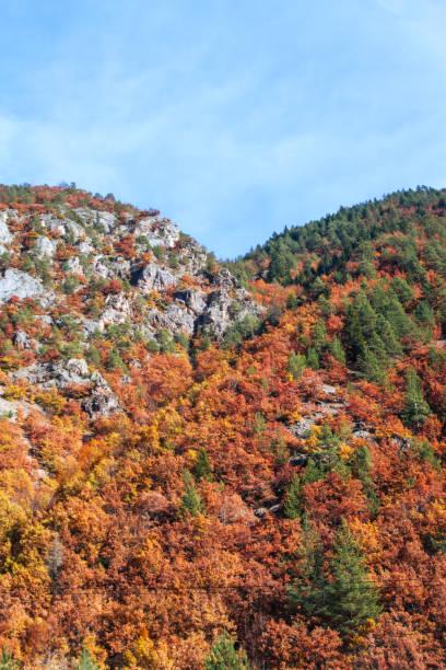 istock Mountains in Turkiye with rocks 2185856714