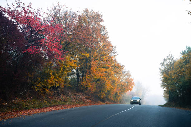 istock Alone car on the horizon in autumn landscape 2185857743