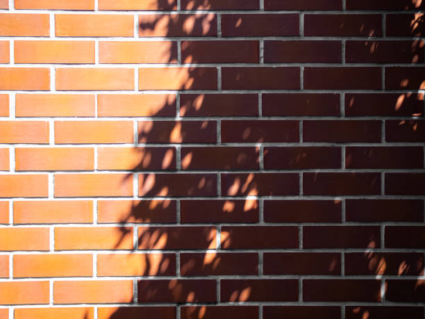 istock Wall brick summer background orange gradient yellow abstract floor blur cement pastel overlay shadow palm leaf minimal for presentation product cosmetic aesthetics beauty, platform backdrop room 2185858060