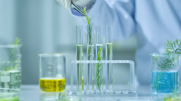 istock Photo template about Melaleuca experiment in modern laboratory 2185858914