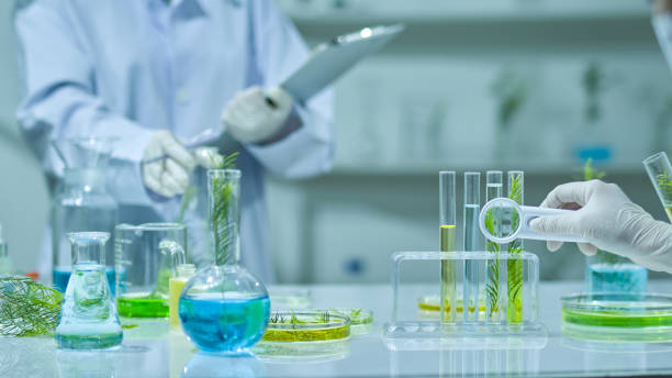 istock Photo template about Melaleuca experiment in modern laboratory 2185859016