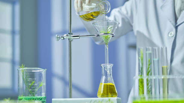 istock Photo template about Melaleuca experiment in modern laboratory 2185859048