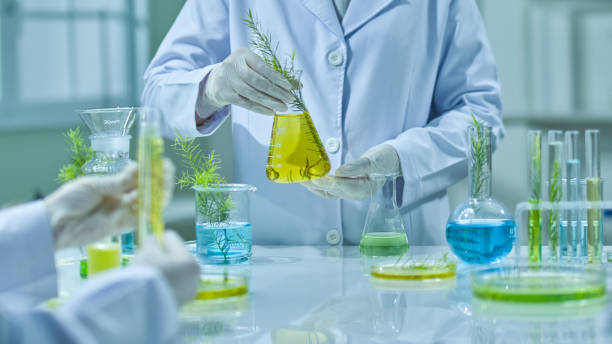 istock Photo template about Melaleuca experiment in modern laboratory 2185859057