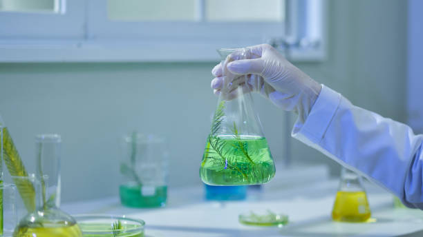 istock Photo template about Melaleuca experiment in modern laboratory 2185859061