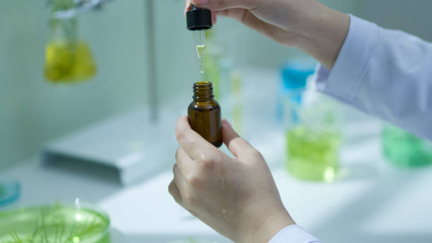 istock Photo template about Melaleuca experiment in modern laboratory 2185859073