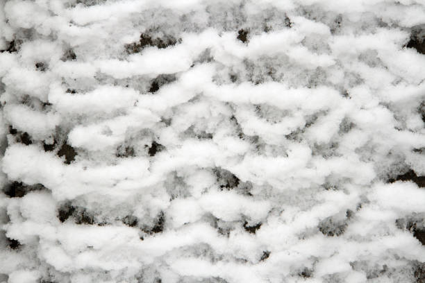 The texture of wet adhering snow. Snow cover close-up.