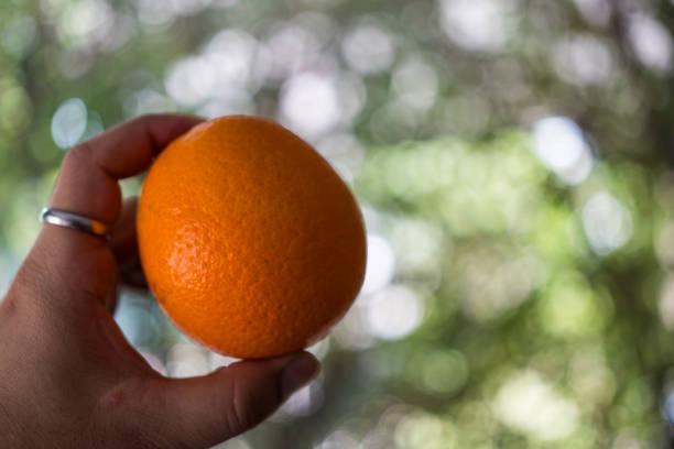 Unrecognizable person holding single orange fruit in blur nature background