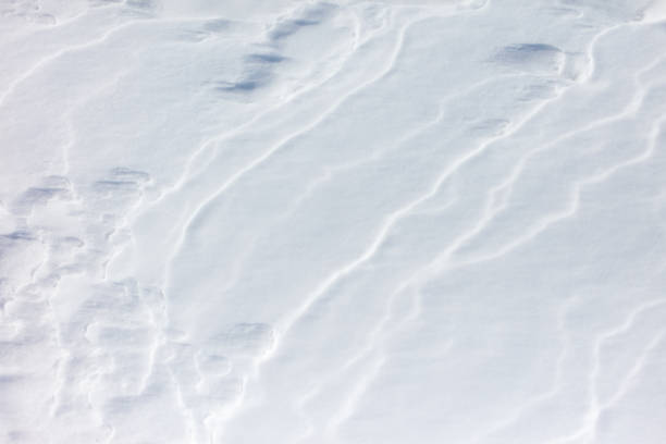 istock The snow is white and the ground is covered in it 2185862930