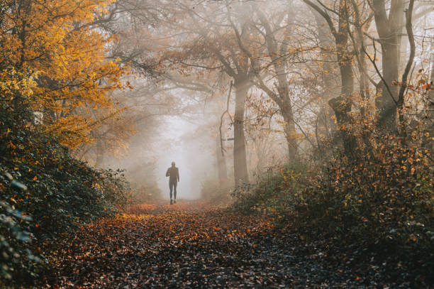 istock A Jogger in a Vibrant Fall Forest Bathed in Soft Misty Light 2185864045