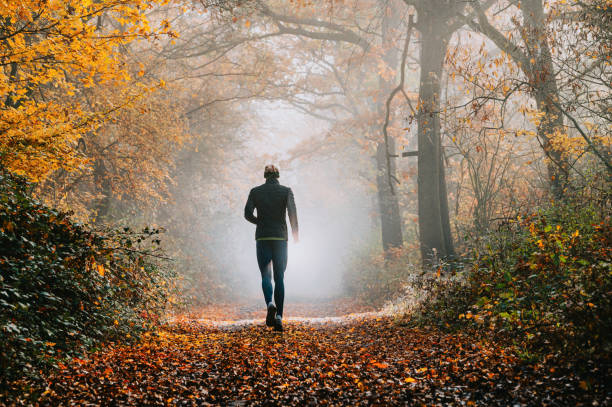 istock Jogger in Misty Autumn Forest Surrounded by Vibrant Foliage 2185864597