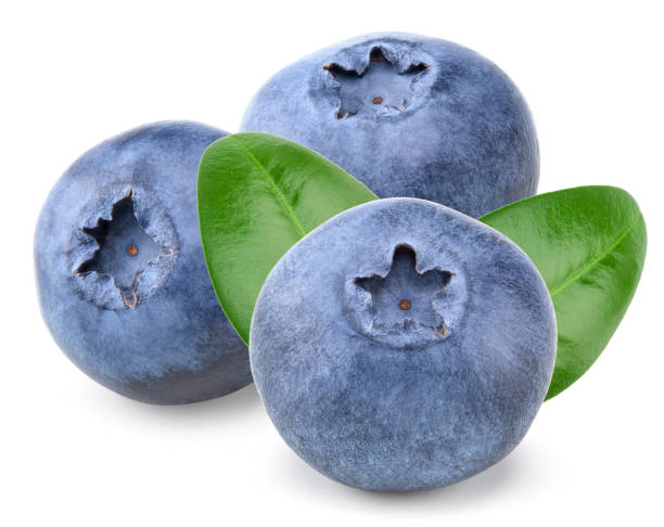istock blueberries with green leaf isolated on white background. macro. clipping path 2185865855