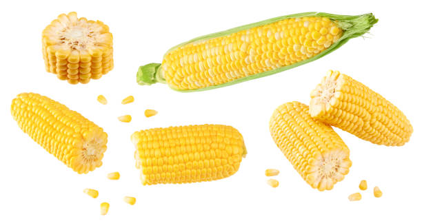 istock Fresh corn on cob isolated on white background. clipping path 2185866180