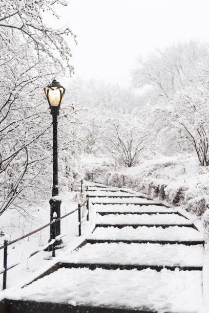 istock Central Park covered in snow, New York, Manhattan 2185876854