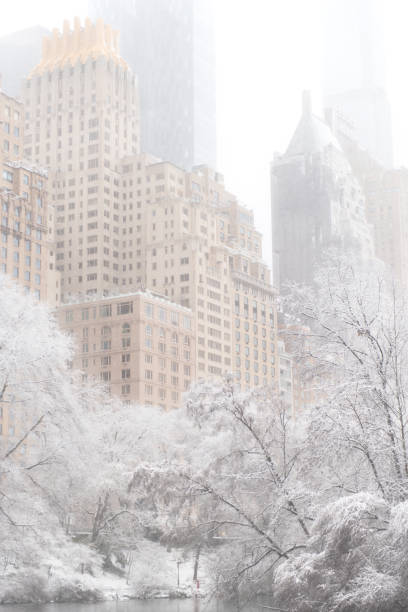 Central Park covered in snow, New York, Manhattan