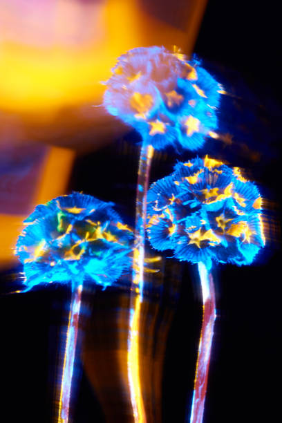 istock Plant with neon glow on a black background. 2185877493