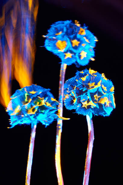 istock Plant with neon glow on a black background. 2185879616