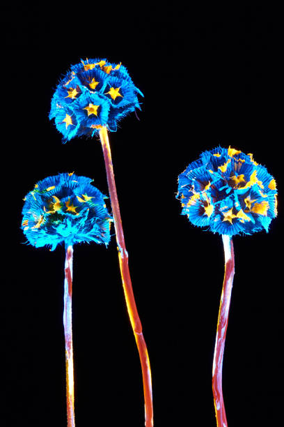 istock Plant with neon glow on a black background. 2185879911