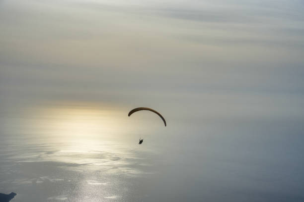 A paraglider soaring above calm, reflective water with soft lighting at dusk.