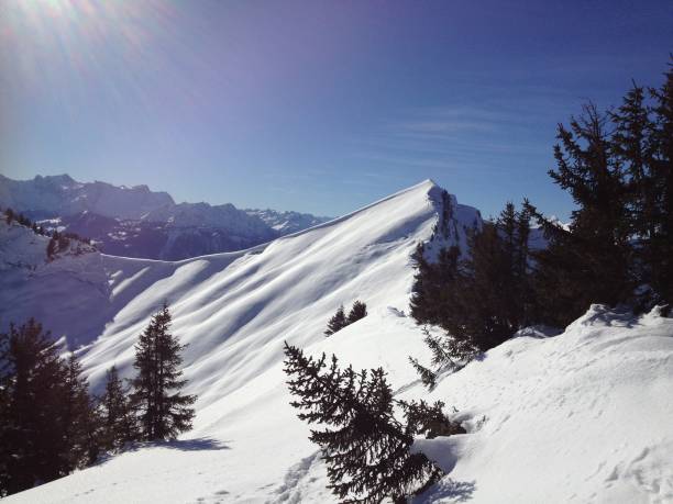 istock Winter in the mountains of Austria 2185885577
