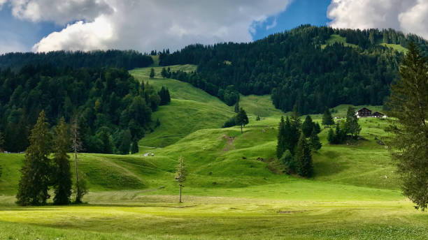 istock Summer in the mountains of Austria 2185885652