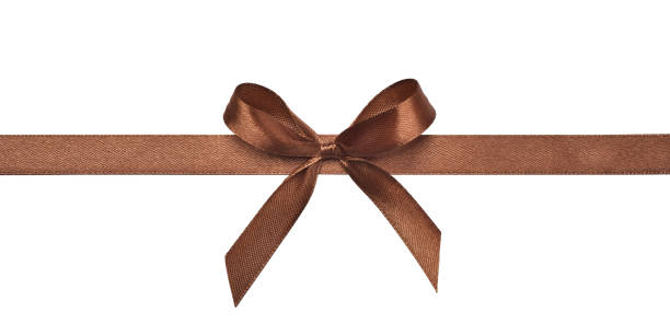 Beautiful brown bow isolated on white background