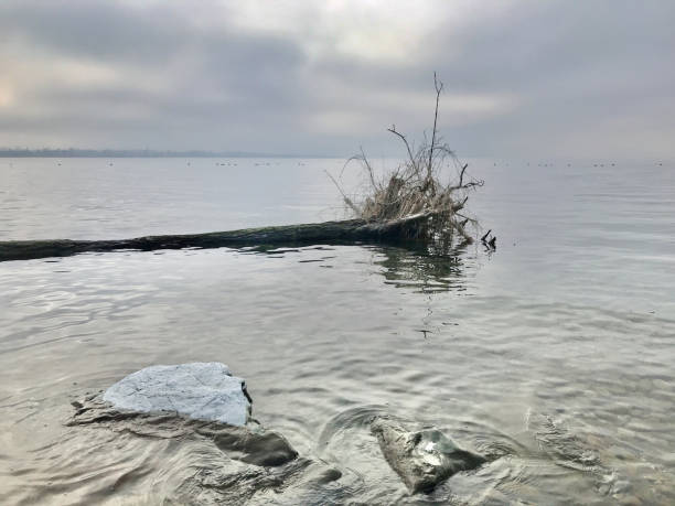 istock Lake of Constance 2185888464
