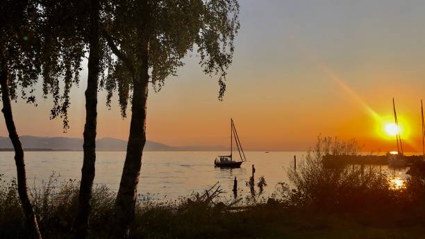 Sailing at sunset