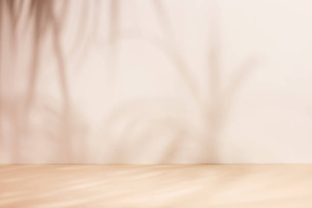 istock Minimalistic abstract gentle light beige background for product presentation with light and intricate shadow 2185891090